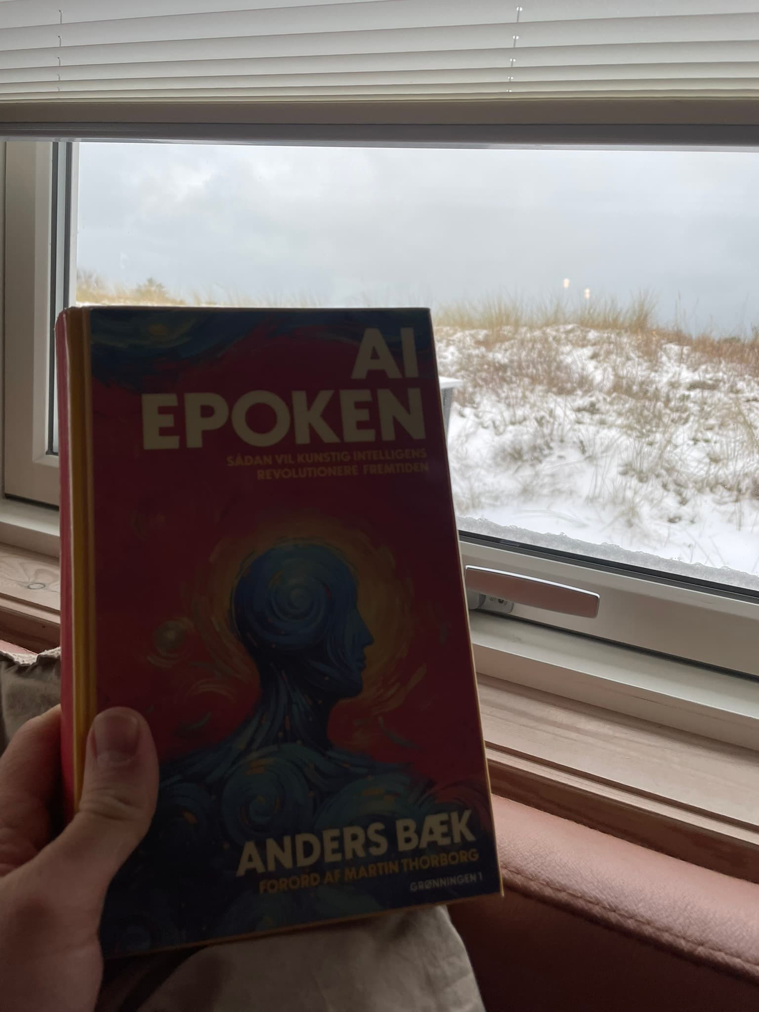 Jeg anede ikke hvor jeg skulle starte med AI